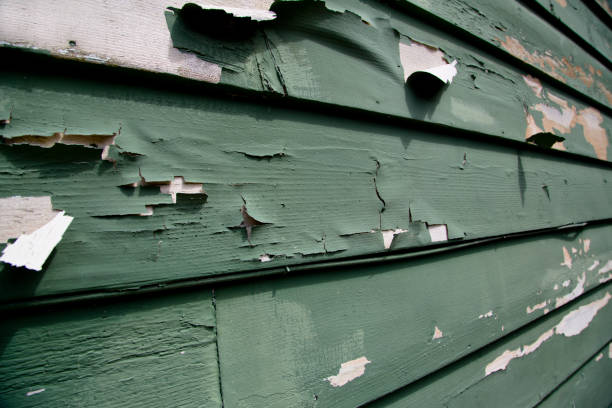 Best Siding Painting and Refinishing  in Hydesville, CA